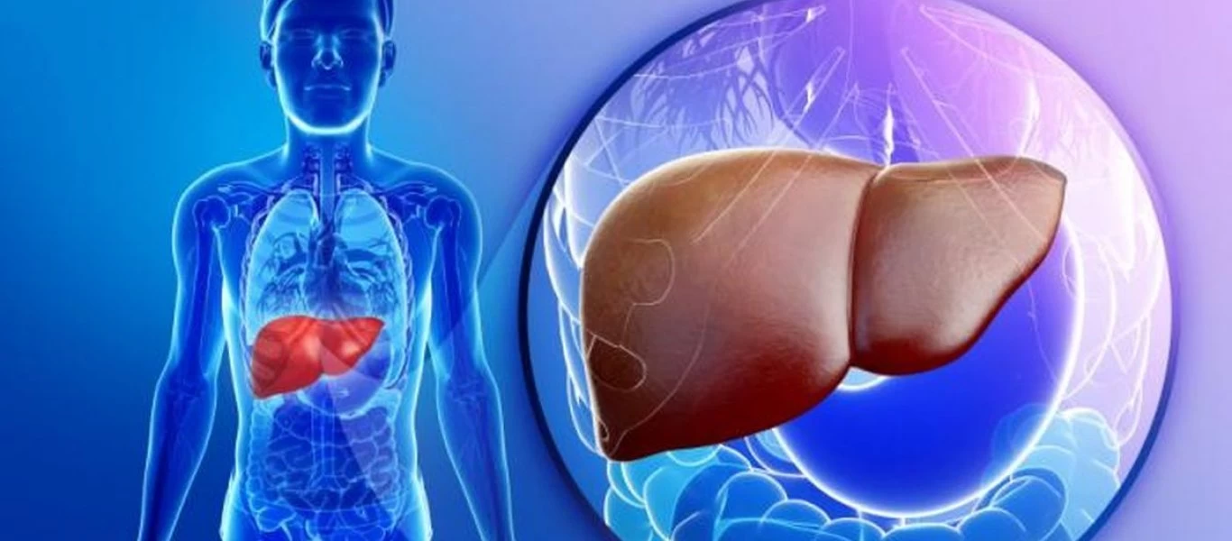 Ήπαρ: Έξι συμβουλές για καλή ηπατική λειτουργία